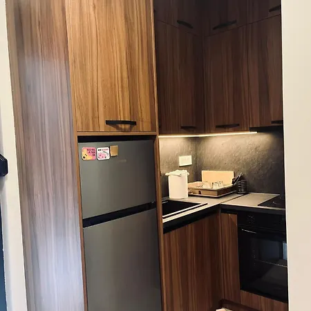 Zlatiborska Breza 아파트